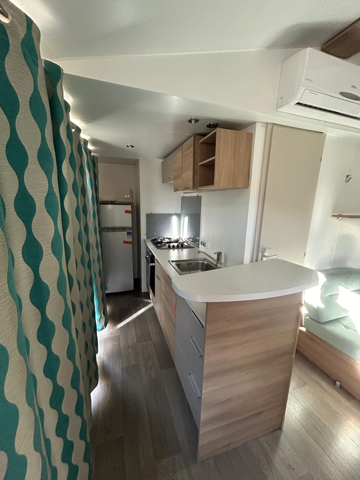 PHOTO-2025-12-01-11-03-01 (3)